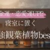 寝室に置くだけで金運・恋愛運UP？風水で選ぶ最強観葉植物ベスト5