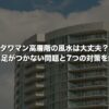 タワマン高層階の風水は大丈夫？地に足がつかない問題と7つの対策を解説