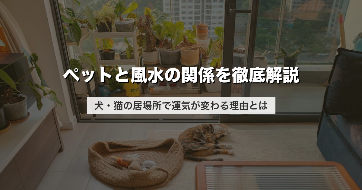 ペットと風水の関係を徹底解説｜犬・猫の居場所で運気が変わる理由とは