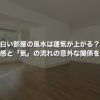 白い部屋の風水は運気が上がる？清潔感と「気」の流れの意外な関係を解説