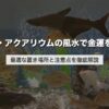 水槽・アクアリウムの風水で金運を呼ぶ｜最適な置き場所と注意点を徹底解説