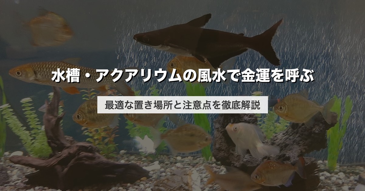 水槽・アクアリウムの風水で金運を呼ぶ｜最適な置き場所と注意点を徹底解説