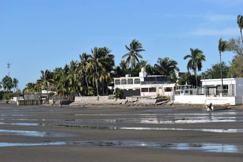 川沿い・海沿い物件の風水5つの条件｜水の気を味方にする方法