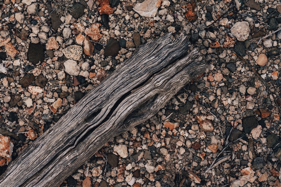 風水の五行｜相生と相剋｜五行の2つの関係性を理解する