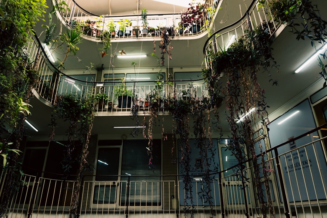 バルコニー・ベランダの風水｜外からの気を活かす方法