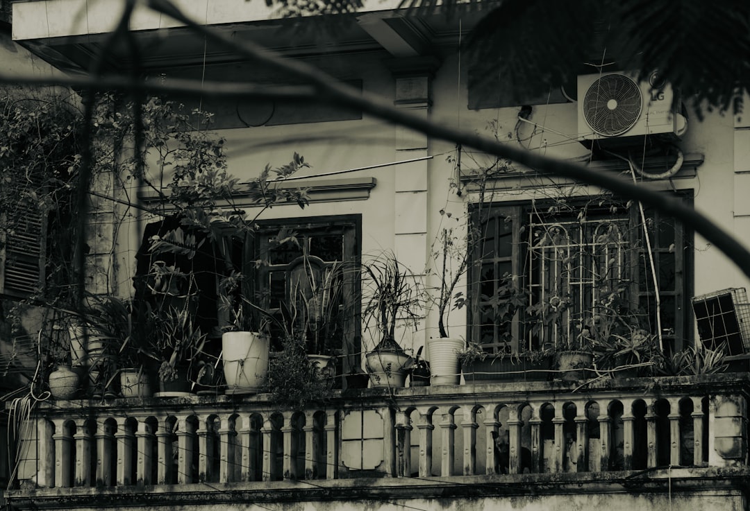 バルコニー・ベランダの風水｜外からの気を活かす方法