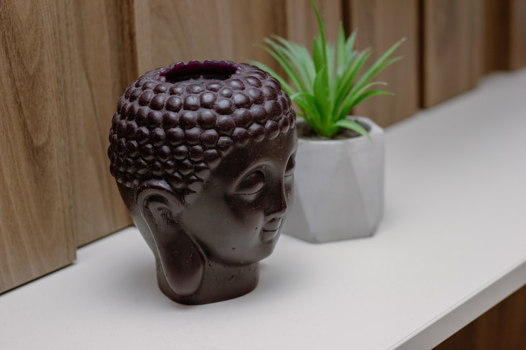 風水の科学的根拠|環境心理学から見た効果とメカニズム